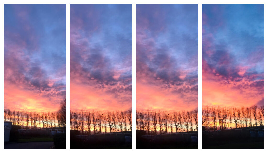 sunset