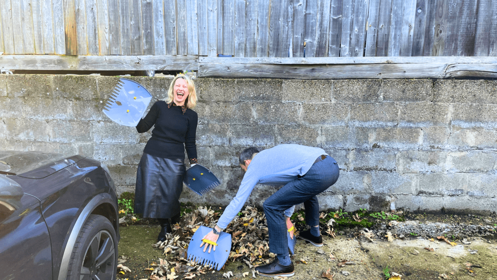 autumn leaf harvest at soilfix